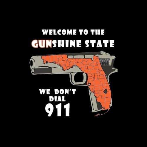 Florida Finna Kill Da Whole World (Miami Dade County 305) cover
