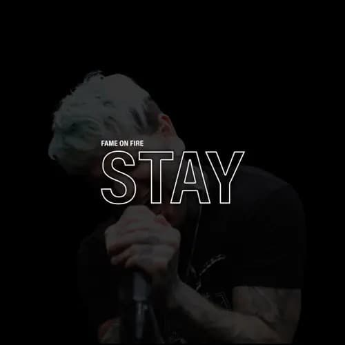 STAY cover