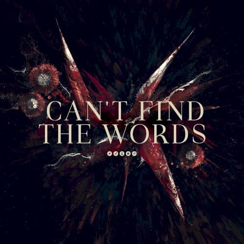 Can’t Find the Words cover