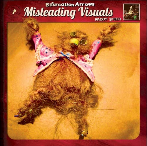 Bifurcation Arrows Misleading Visuals cover