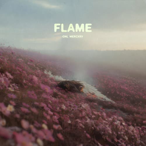 Flame cover