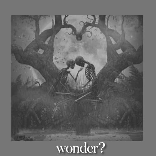 Wonder? cover