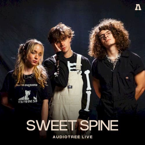 Audiotree Live cover