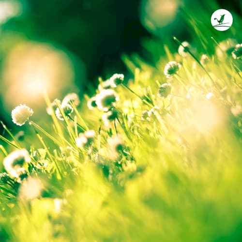 Light Me cover