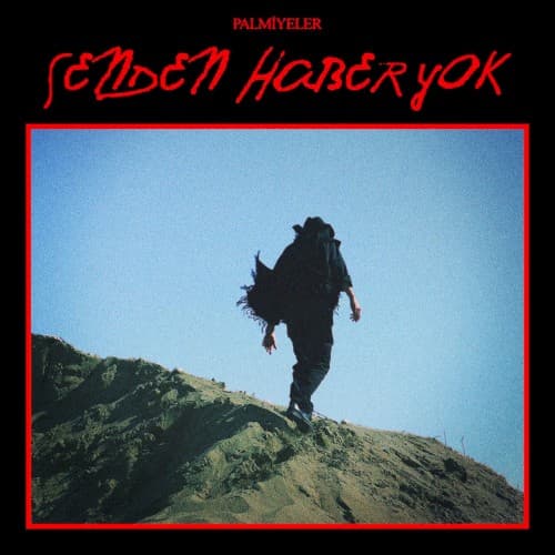 Senden Haber Yok cover