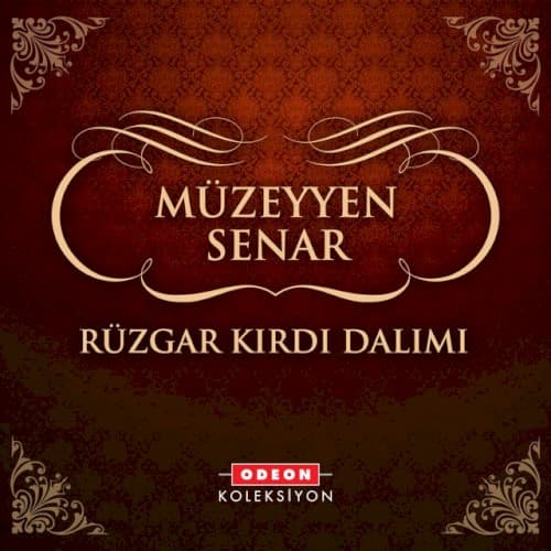 Rüzgar Kırdı Dalımı cover