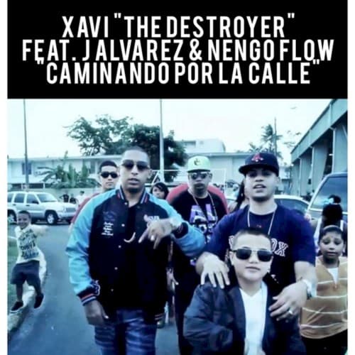 Caminando por la calle cover