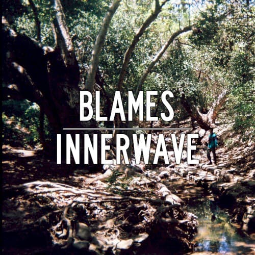 Blames cover