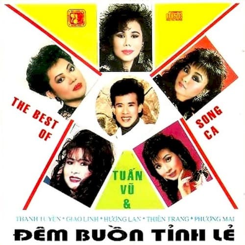 Đêm buồn tỉnh lẻ (The best of song ca) cover