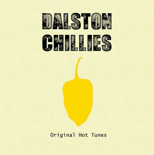 Dalston Chillies Records Volume 2 cover