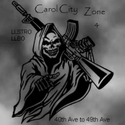 ZONE 4 CAROL CITY cover