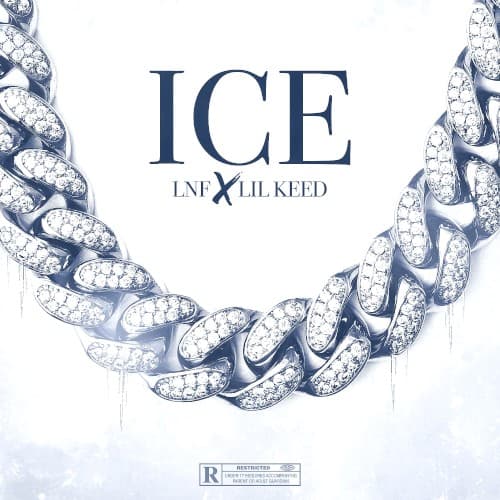 Ice cover
