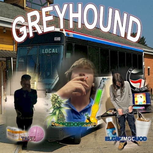 GREYHOUND cover