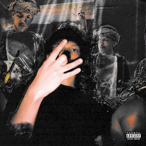 Cujo Flow cover