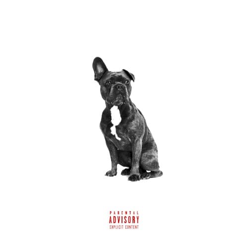 Alpha cover
