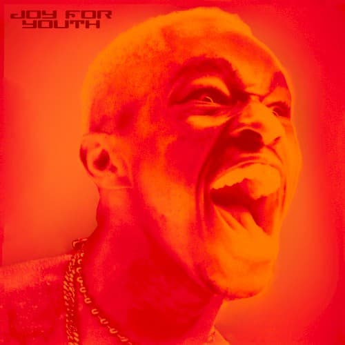 JOY FOR YOUTH cover
