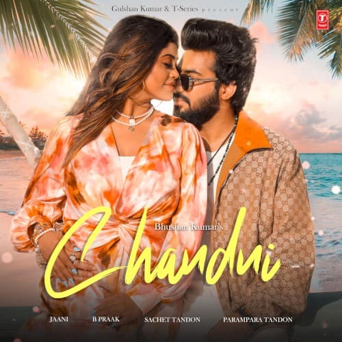 Chandni cover