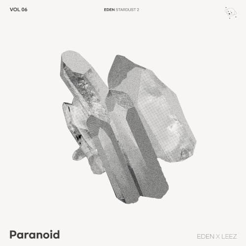 Paranoid cover