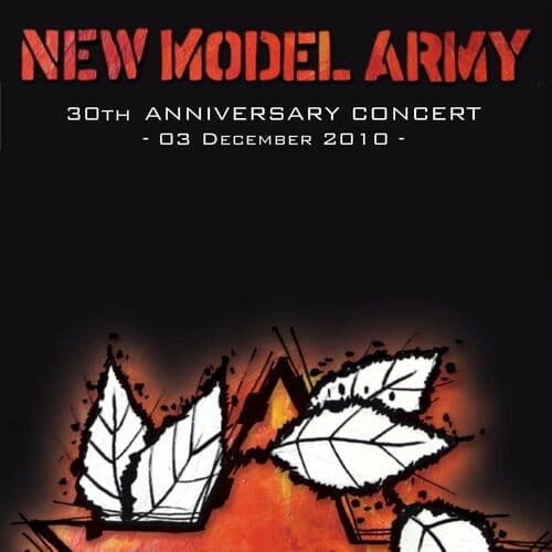 30th Anniversary Concerts cover