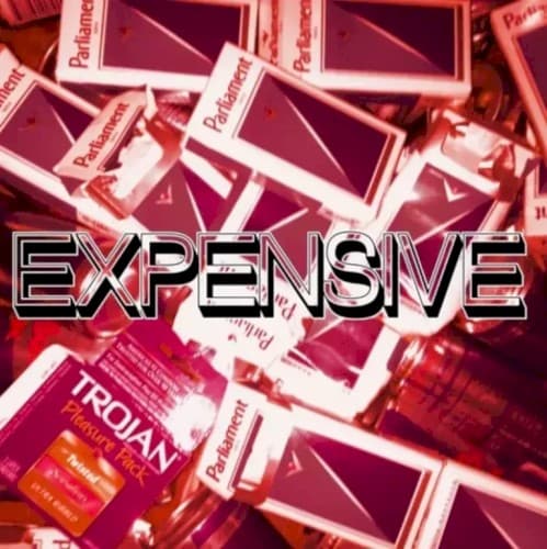 Expensive cover