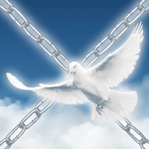Free Indeed cover