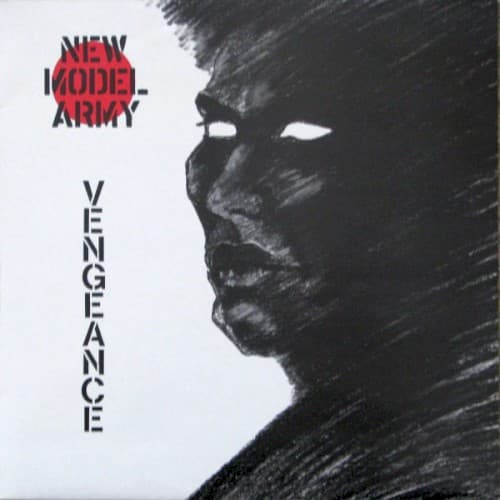 Vengeance cover