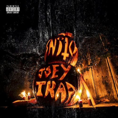 Snitch cover