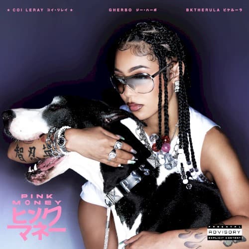 Pink Money cover