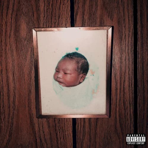 Fledge cover