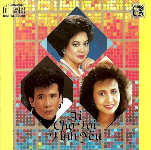 Ai cho tôi tình yêu cover