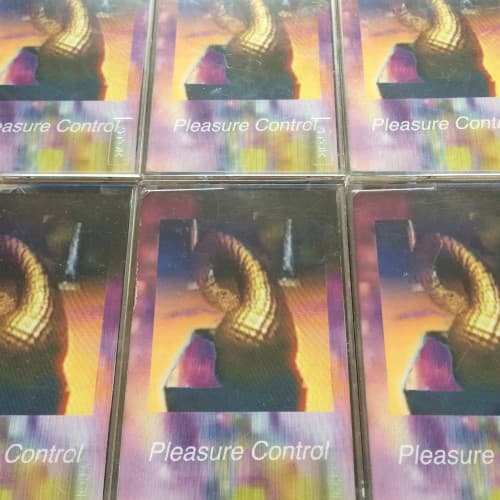 Pleasure Control cover