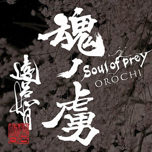 Soul of Prey cover