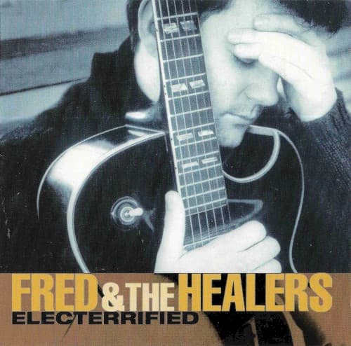 Electerrified cover