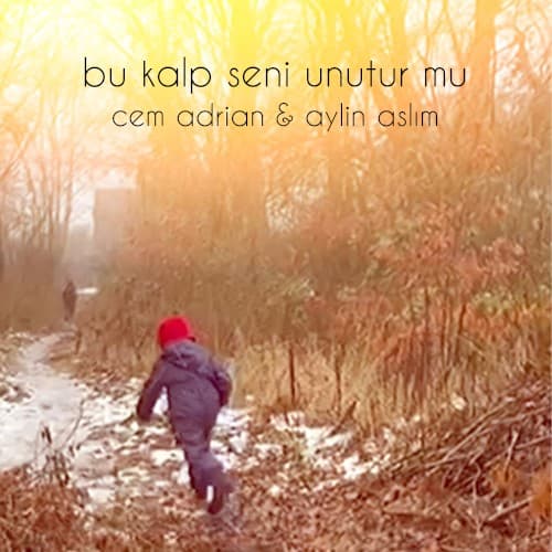 Bu Kalp Seni Unutur mu? cover