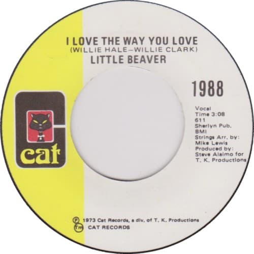 I Love the Way You Love / Miami Girl cover