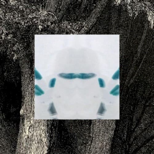 ICANTELL cover