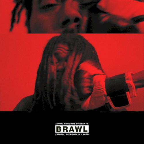Brawl cover