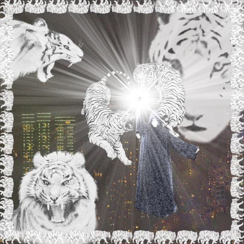 White Tiger cover