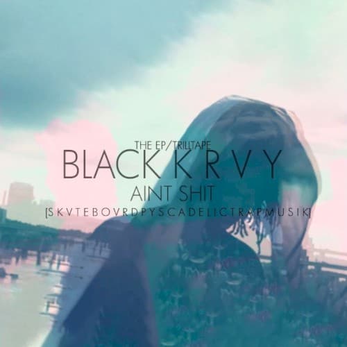 Aint Shit cover
