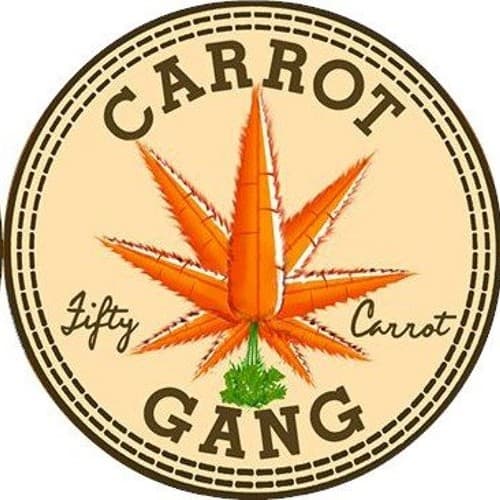 Wiz Kid (Getter remix) cover