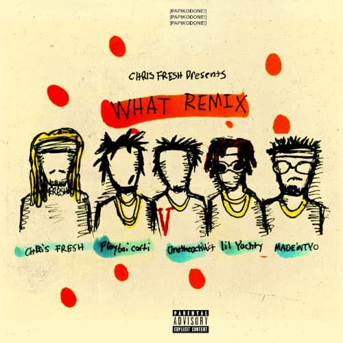 WHAT (REMIX) cover