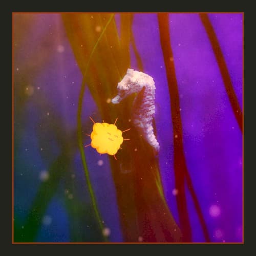 Romance cover