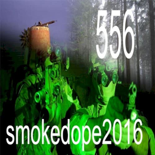 556 cover