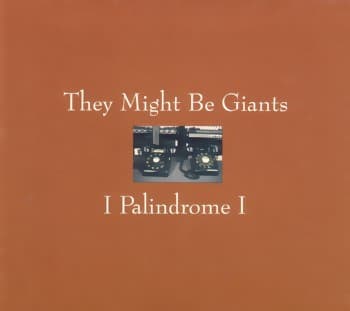I Palindrome I cover