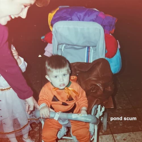 pond scum cover