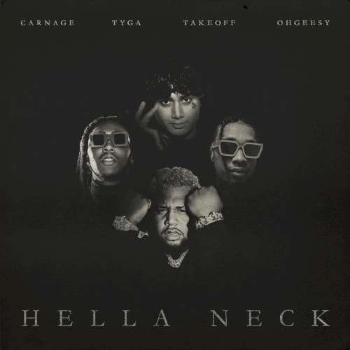 Hella Neck cover