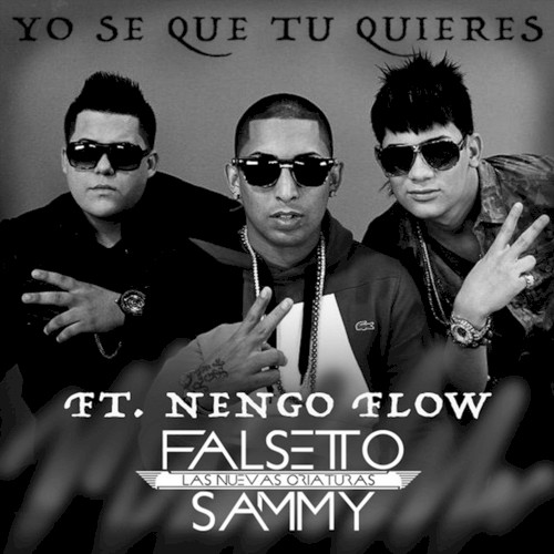 Yo sé que tú quieres cover
