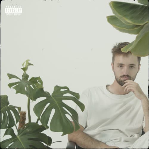 Time Flies cover