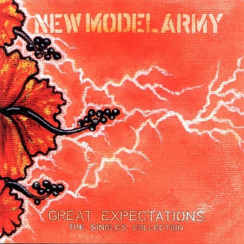 Great Expectations: The Singles Collection cover