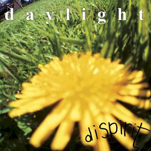 Dispirit cover